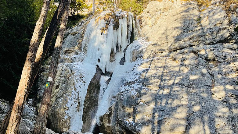 Ein gefrorener Wasserfall in einer felsigen Landschaft mit B&auml;umen im Vordergrund.
