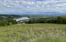 Blick vom Naturfreundestein auf die Donauschleife, &copy; Tamara Leeb