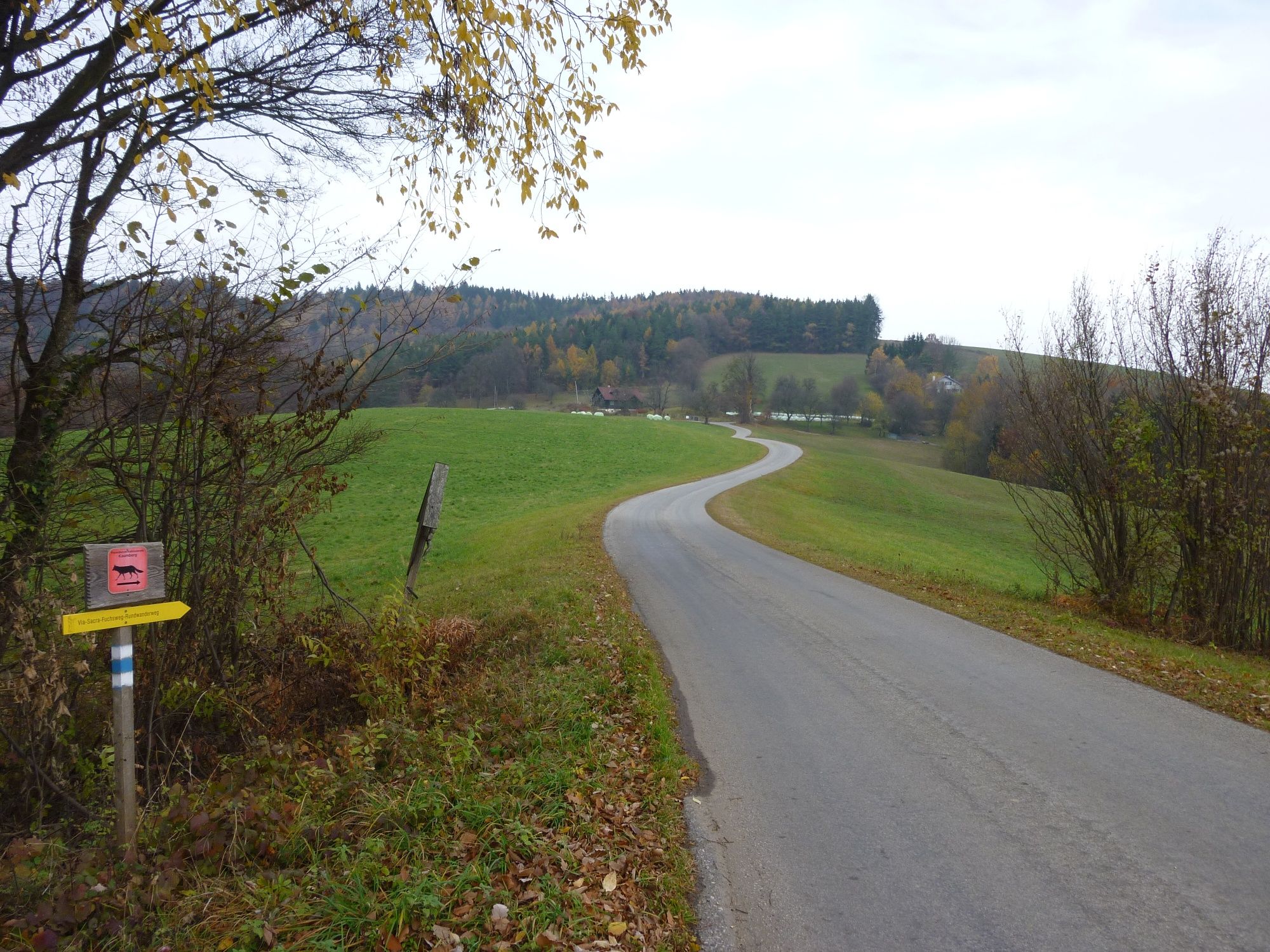 Richtung Stadlmann