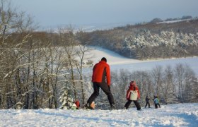Menschen beim Skifahren auf einem schneebedeckten H&uuml;gel mit B&auml;umen im Hintergrund.