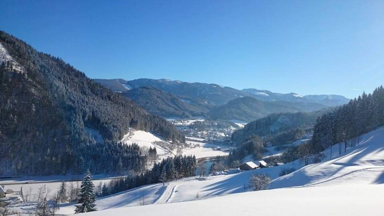 Ausblick vom Bauernhof Seppenbauer im Winter, &copy; Seppenbauer
