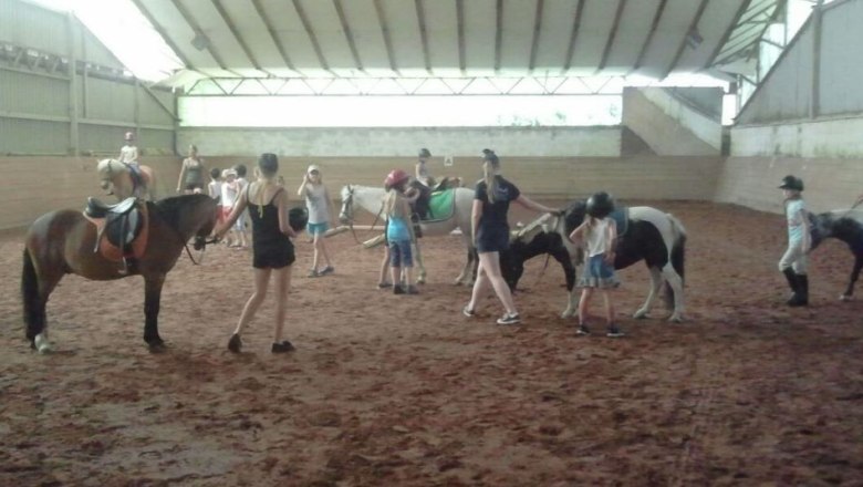 Reiten in der Halle, © Franz Inghofer