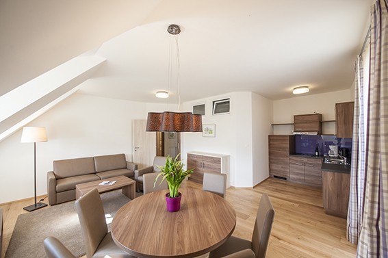 Modernes Wohnzimmer mit Esstisch, Sofa und K&uuml;chenzeile.