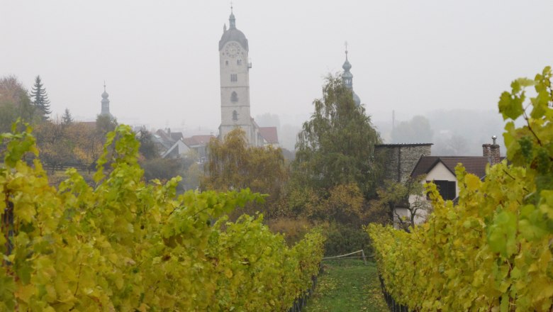 Krems mit Weinreben, © Donau NÖ/JMZ