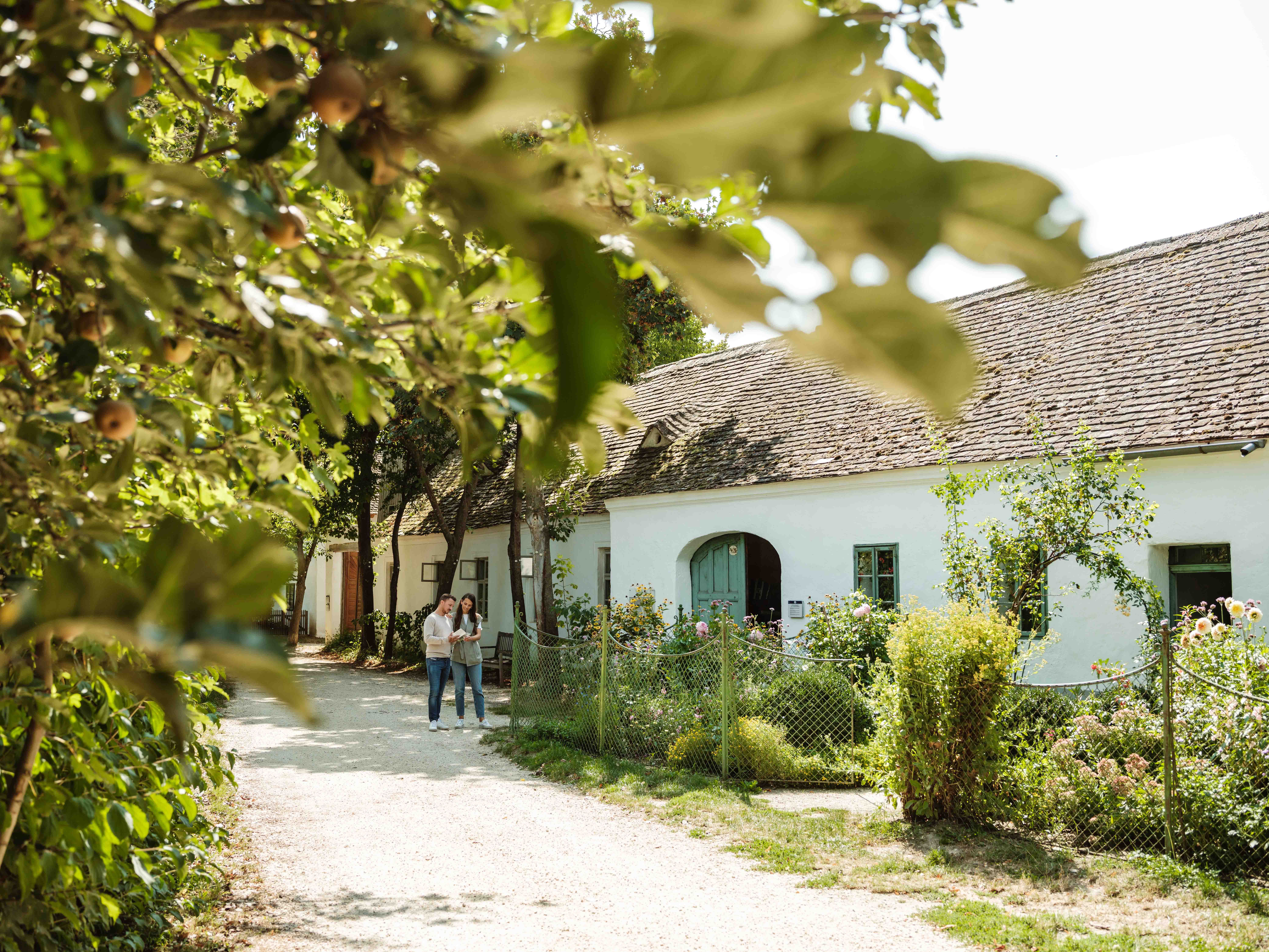 Zwei Personen spazieren auf einem Weg im Museumsdorf Niedersulz, umgeben von Bäumen und einem traditionellen Gebäude.