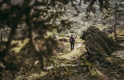 Ein Wanderer genießt die Ruhe und die frische Luft der Ybbstaler Alpen, während er auf einem schmalen Pfad durch die üppige, grüne Landschaft schreitet. Umgeben von majestätischen Bäumen und sanften Hügeln, bietet die Natur hier eine perfekte Kulisse für Erholung und Abenteuer.