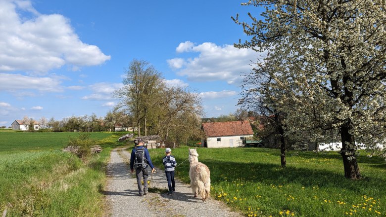 Wandern in Harth, &copy; Michael Berner