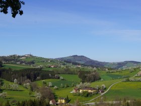 Panoramablick am Trefflingblickweg, &copy; Marktgemeinde Seitenstetten
