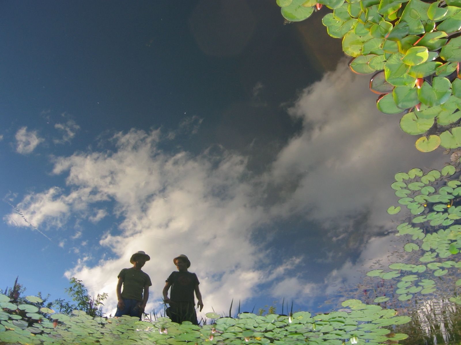 Spiegelung von zwei Personen und Wolken in einem Teich mit Seerosen.