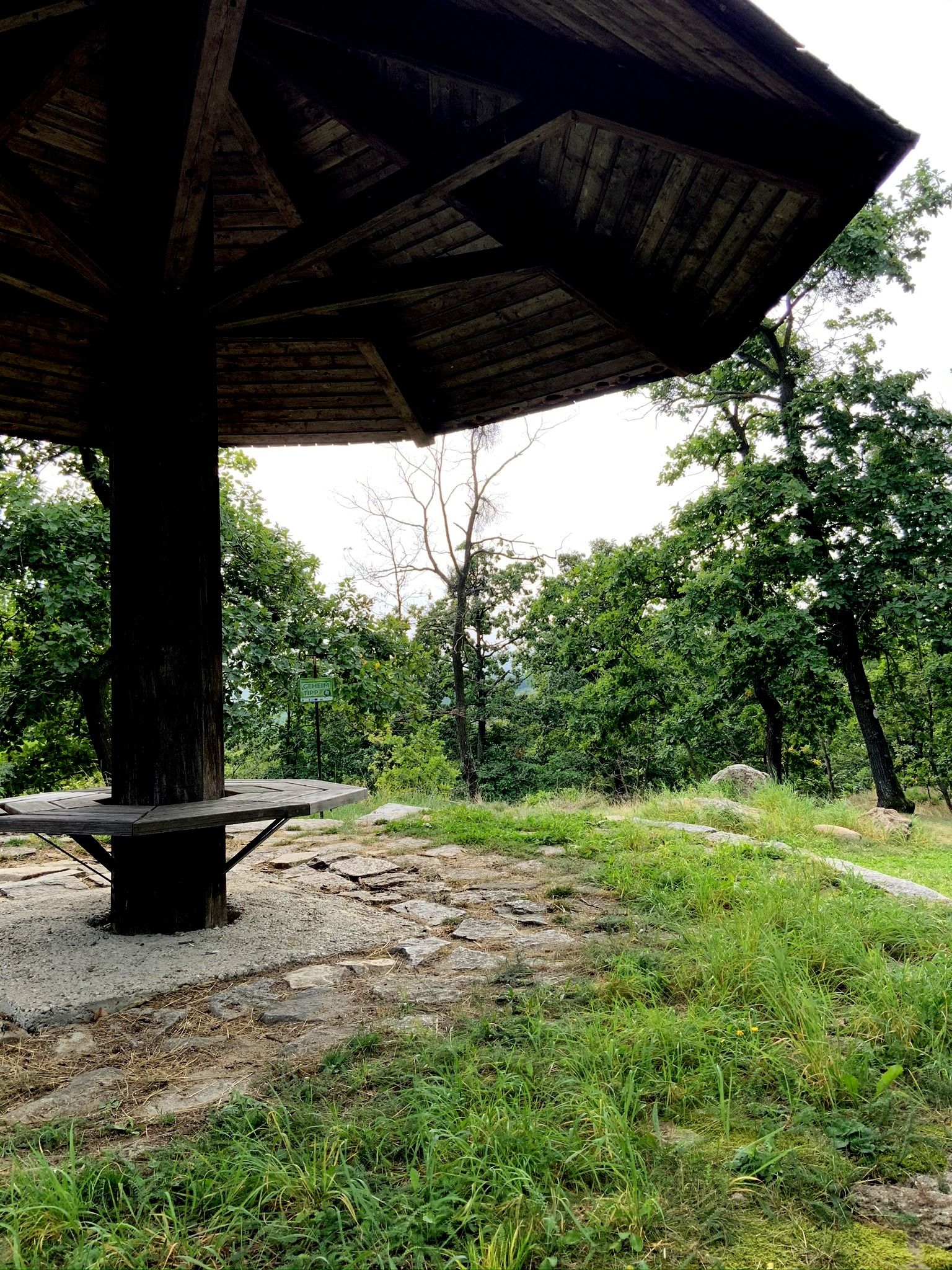Holzüberdachung im Wald mit Sitzbank und grünem Gras.