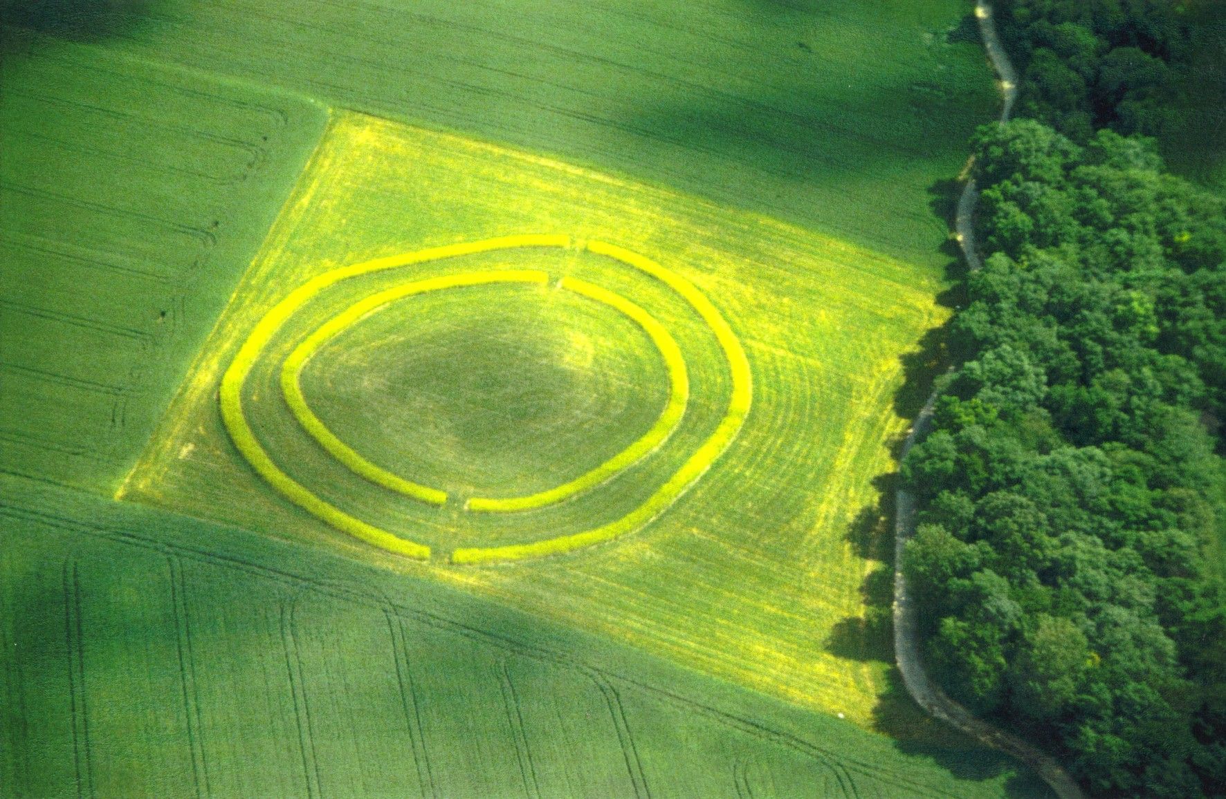 Luftaufnahme eines kreisförmigen Grabens in einem Feld neben einem Wald.