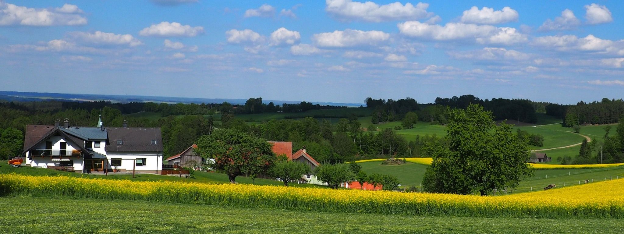 Lage- Außenansicht 