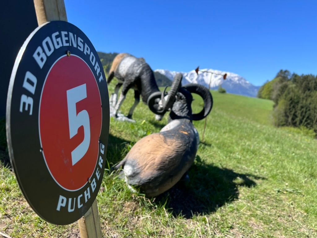 3D BOGENKURS