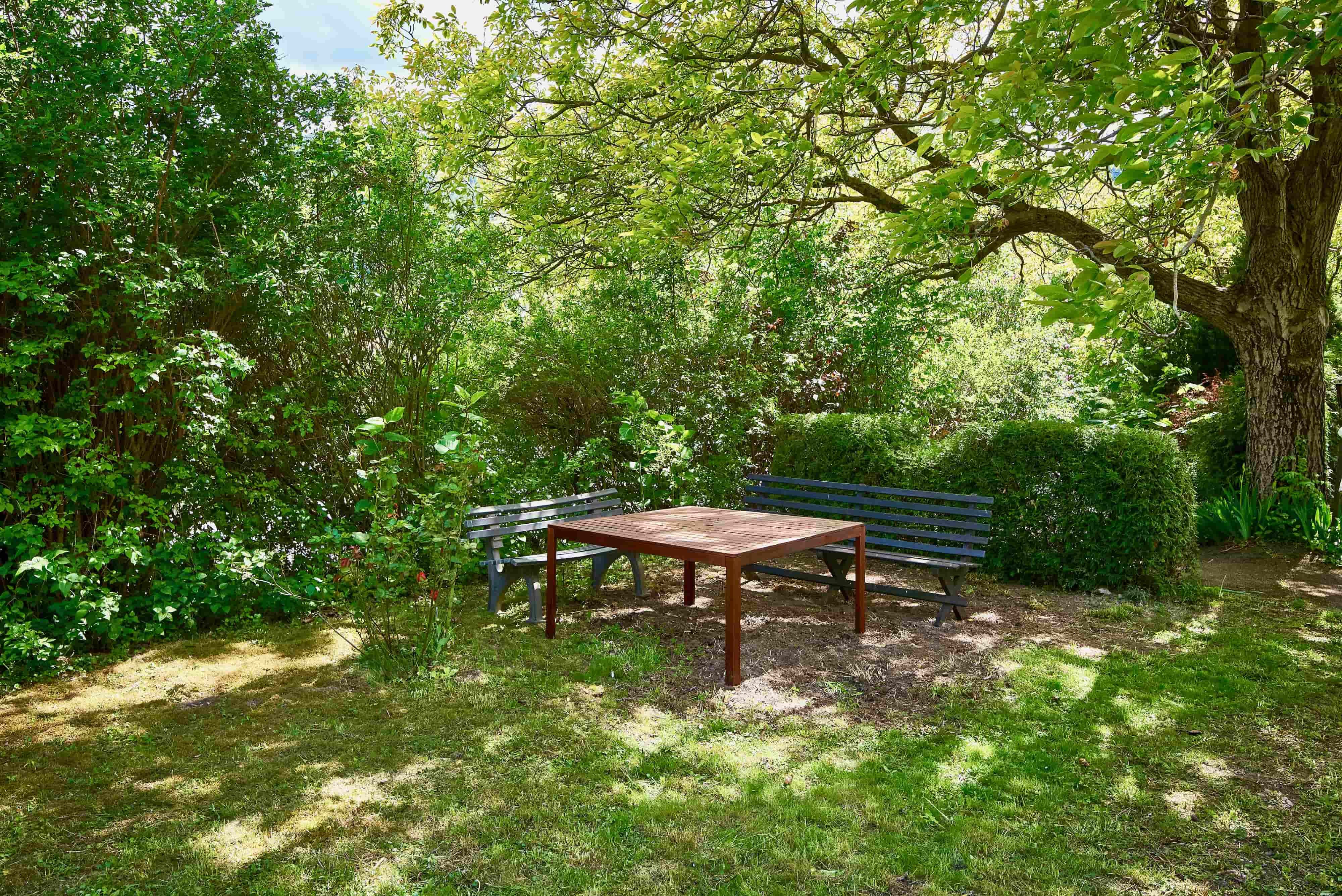 Ein ruhiger Garten mit zwei Bänken und einem Tisch unter einem großen Baum.