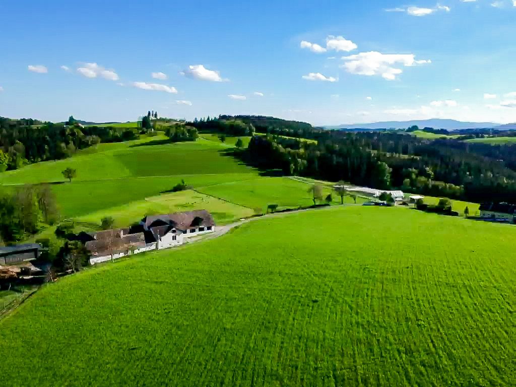 Landschaft mit grünen Feldern und einem Bauernhof unter blauem Himmel.