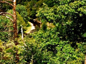 Rosenburg-Rundweg, &copy; &copy; Monika K&ouml;lbl, Schloss Rosenburg, Gemeinde Rosenburg-Mold