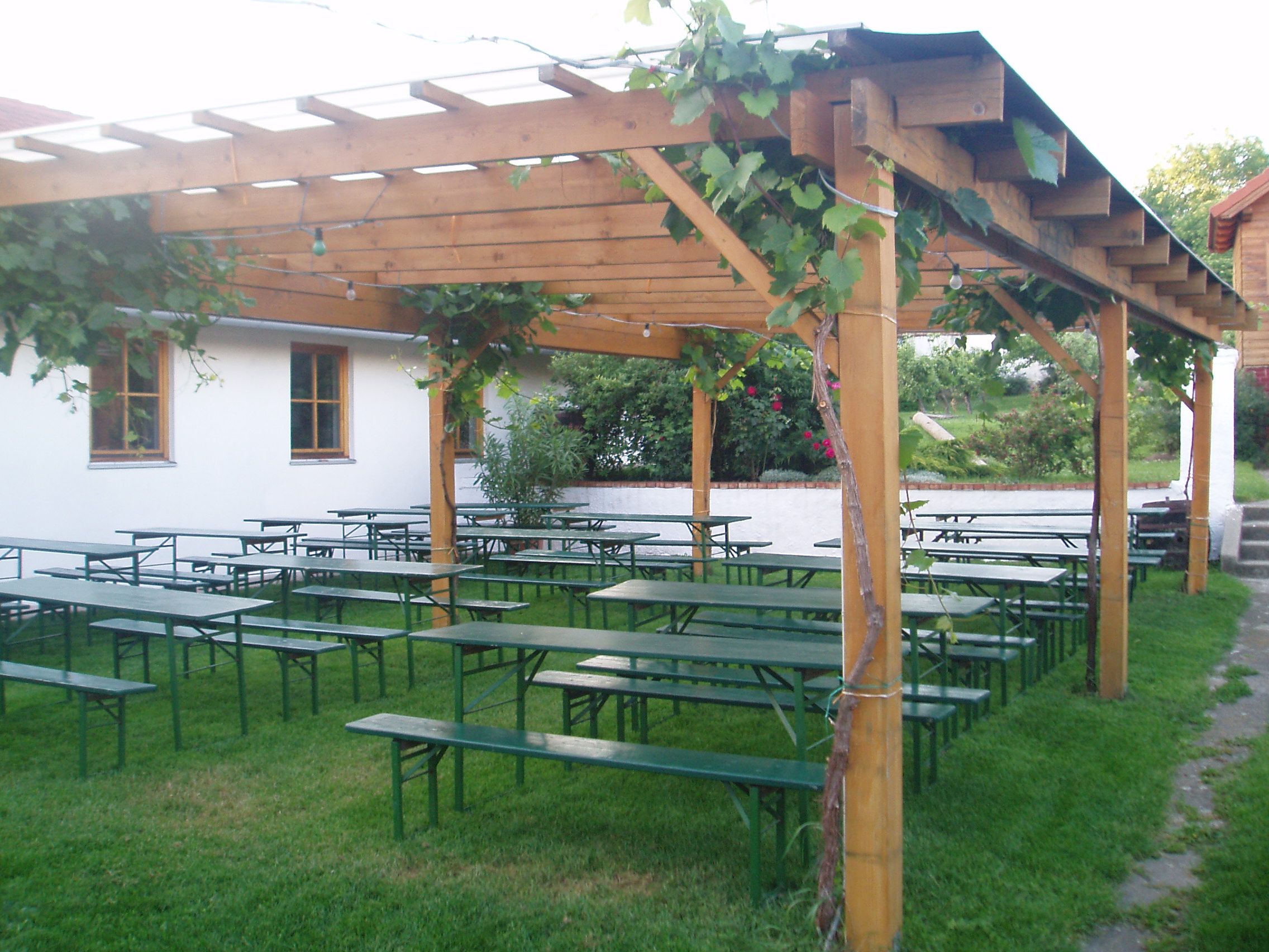 Ein Biergarten mit Holzbänken und Tischen unter einer Pergola mit Weinreben.