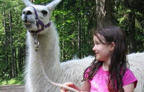 Lama Wanderung, © Naturparke Niederösterreich / Naturpark Hohe Wand