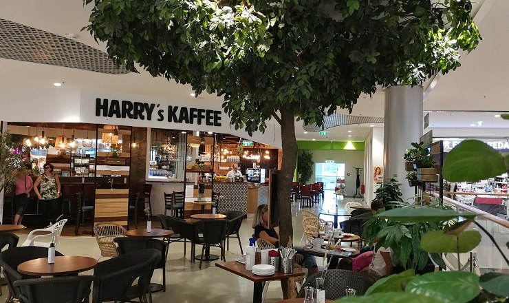 Innenansicht eines Cafés namens Harry's Kaffee mit Tischen, Stühlen und einem großen künstlichen Baum.