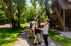 Eine Frau steht neben einem schwarz-weißen Pferd auf einem Hof mit Bäumen und einem Holzgebäude im Hintergrund.