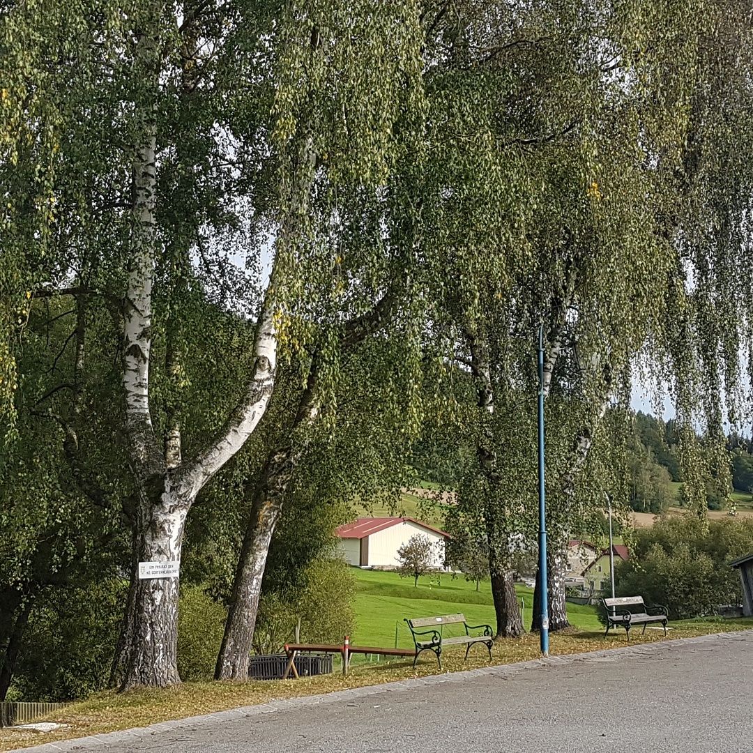 Dorfweg