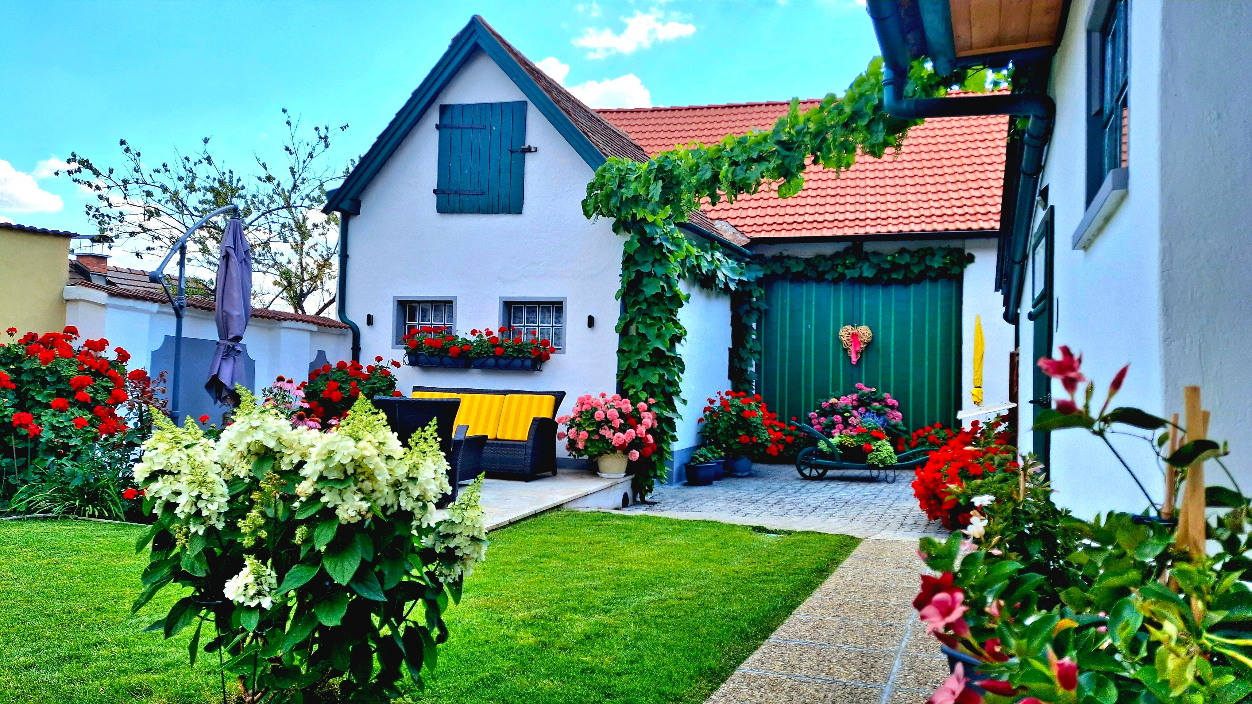Ein malerisches Ferienhaus im Weinviertel mit blühenden Blumen und grüner Rasenfläche.
