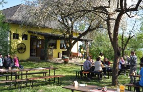 Menschen sitzen im Freien an Holztischen vor einem gelben Geb&auml;ude mit bl&uuml;henden B&auml;umen.