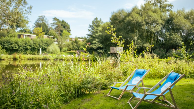 Zwei blaue Liegestühle auf einer Wiese am Ufer eines Teiches, umgeben von grüner Vegetation.