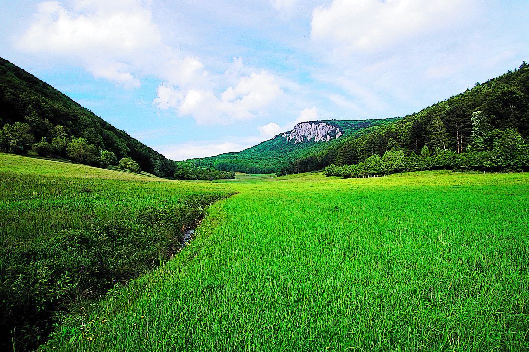 Grüne Wiese mit Hügeln und bewaldeten Bergen im Hintergrund unter blauem Himmel.