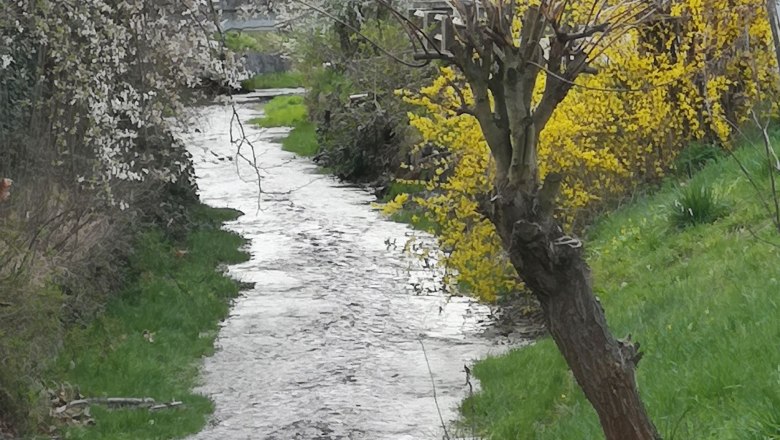 Am Gschinzbach, © Karin Schindl