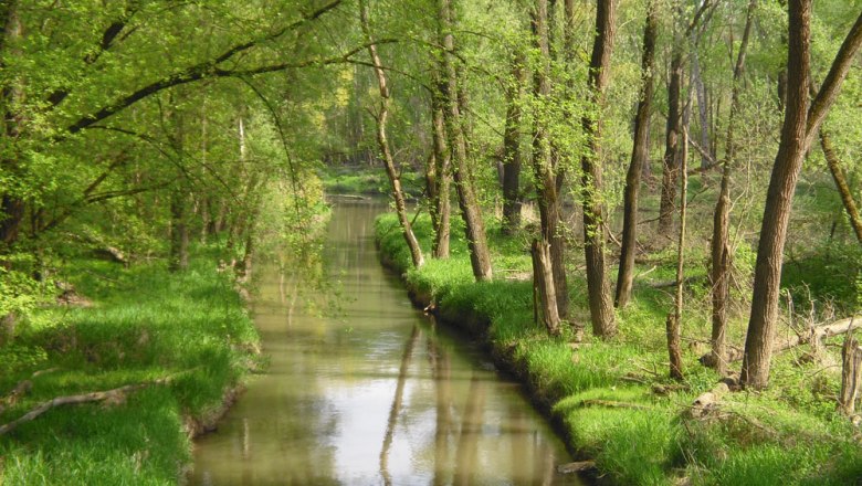 Stockerauer Au, &copy; Stadtgemeinde Stockerau