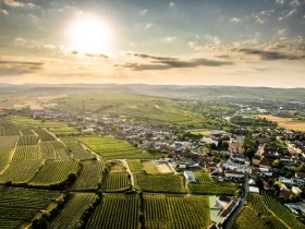 Winzerdorfweg, &copy; POV