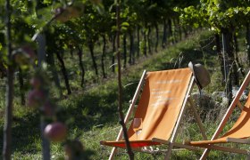 Zwei Liegest&uuml;hle in einem Weingarten, einer mit einem Strohhut und einem Glas Wein darauf.