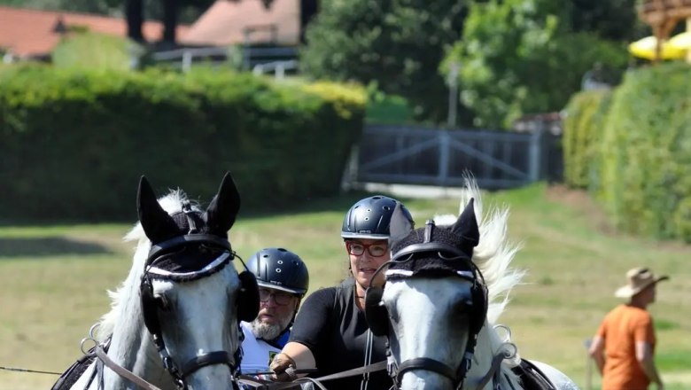 Kutsche bei den Linden, &copy; Sonja H&ouml;gler