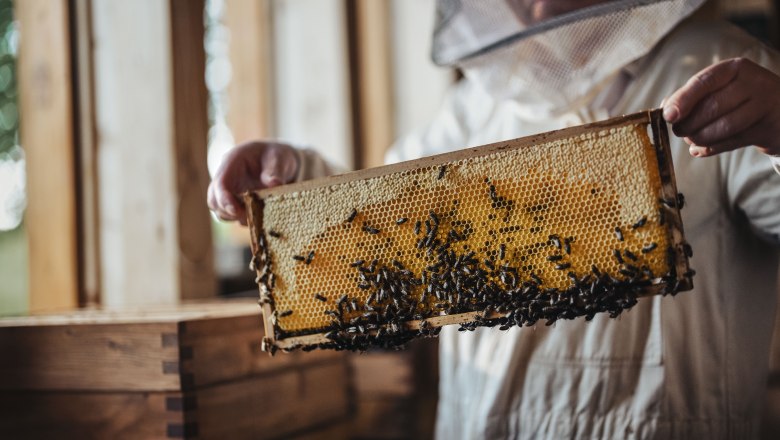 Die Zeidler, &copy; Moststra&szlig;e, dochbodnliacht