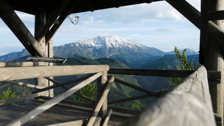 Holzplattform mit Blick auf schneebedeckten Berg und bewaldete Hügel.