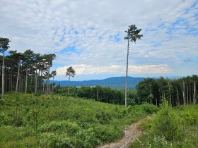 Steiniger Weg_Ausblick, &copy; Wienerwald Tourismus / &copy;Klaus Lorenz