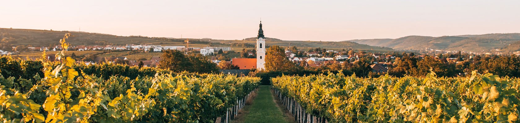 Weinwandern Langenlois, © Romeo Felsenreich