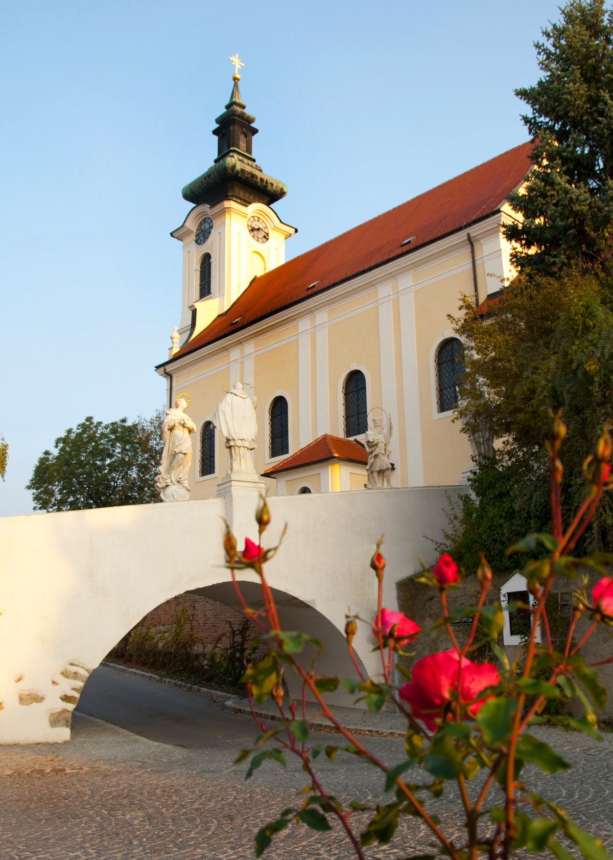 Pfarrkirche Wolkersdorf mit Statuen und Rosen im Vordergrund.