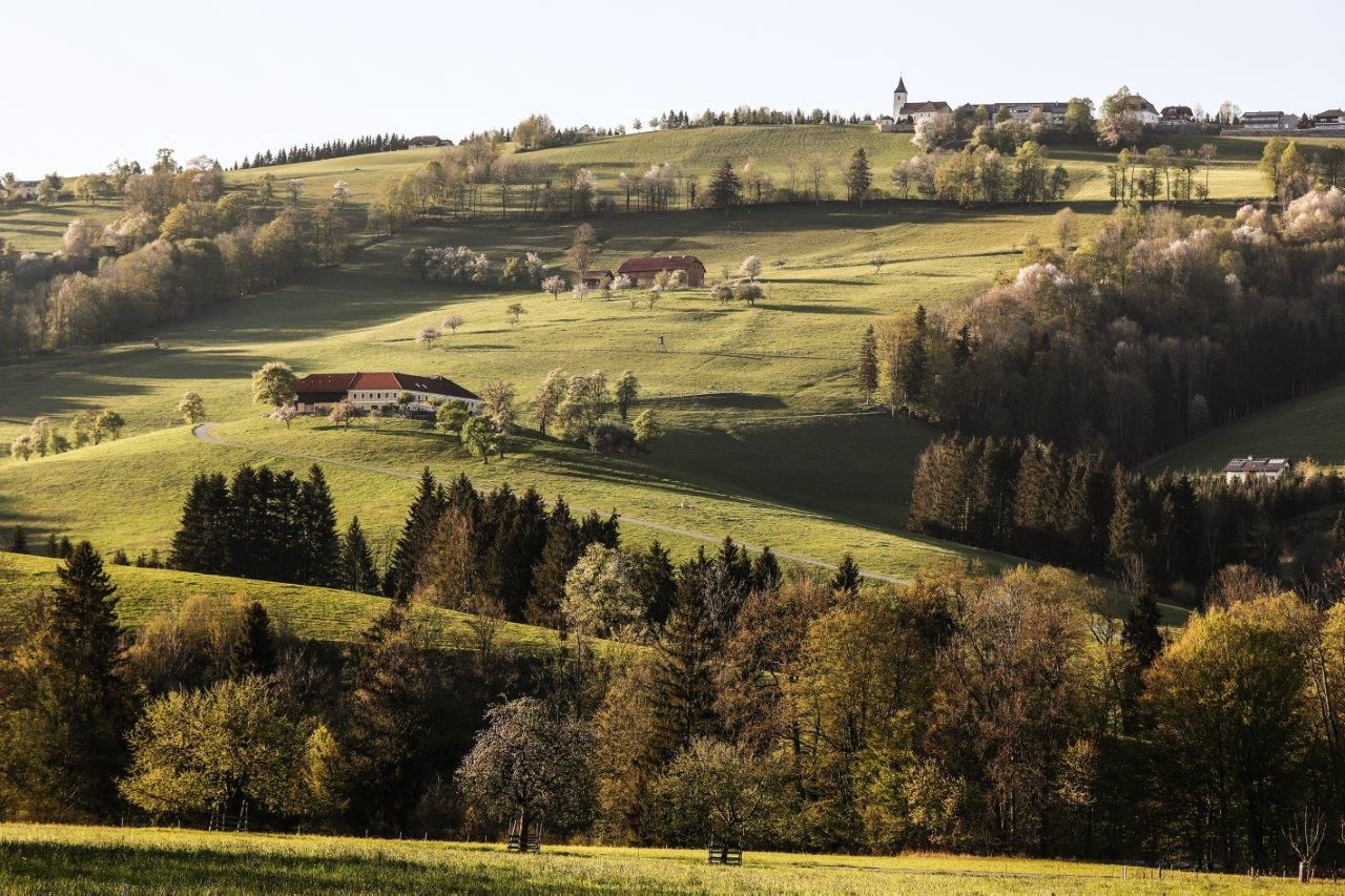 Fotopunkt Konradsheim
