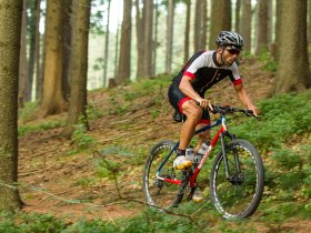 MTB Waldviertel, &copy; &copy; Waldviertel Tourismus, Erwin Haiden