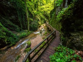 Johannesbachklamm W&uuml;rflach, &copy; Wiener Alpen in Nieder&ouml;sterreich - Schneeberg Hohe Wand