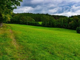 Almwiese zwischen Bergern und Sading, &copy; Gottfried Grossinger