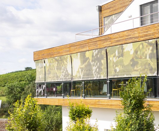 Modernes Geb&auml;ude mit Terrasse und Weinreben im Hintergrund.