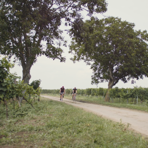 Raderlebnis Weinviertel, © We Make Stories