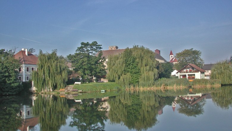 Ein ruhiger Teich mit Spiegelung von B&auml;umen und Geb&auml;uden in Niederabsdorf.