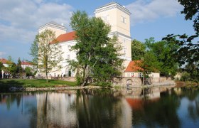 Schloss Wolkersdorf mit Spiegelung im Wasser und umgeben von B&auml;umen.