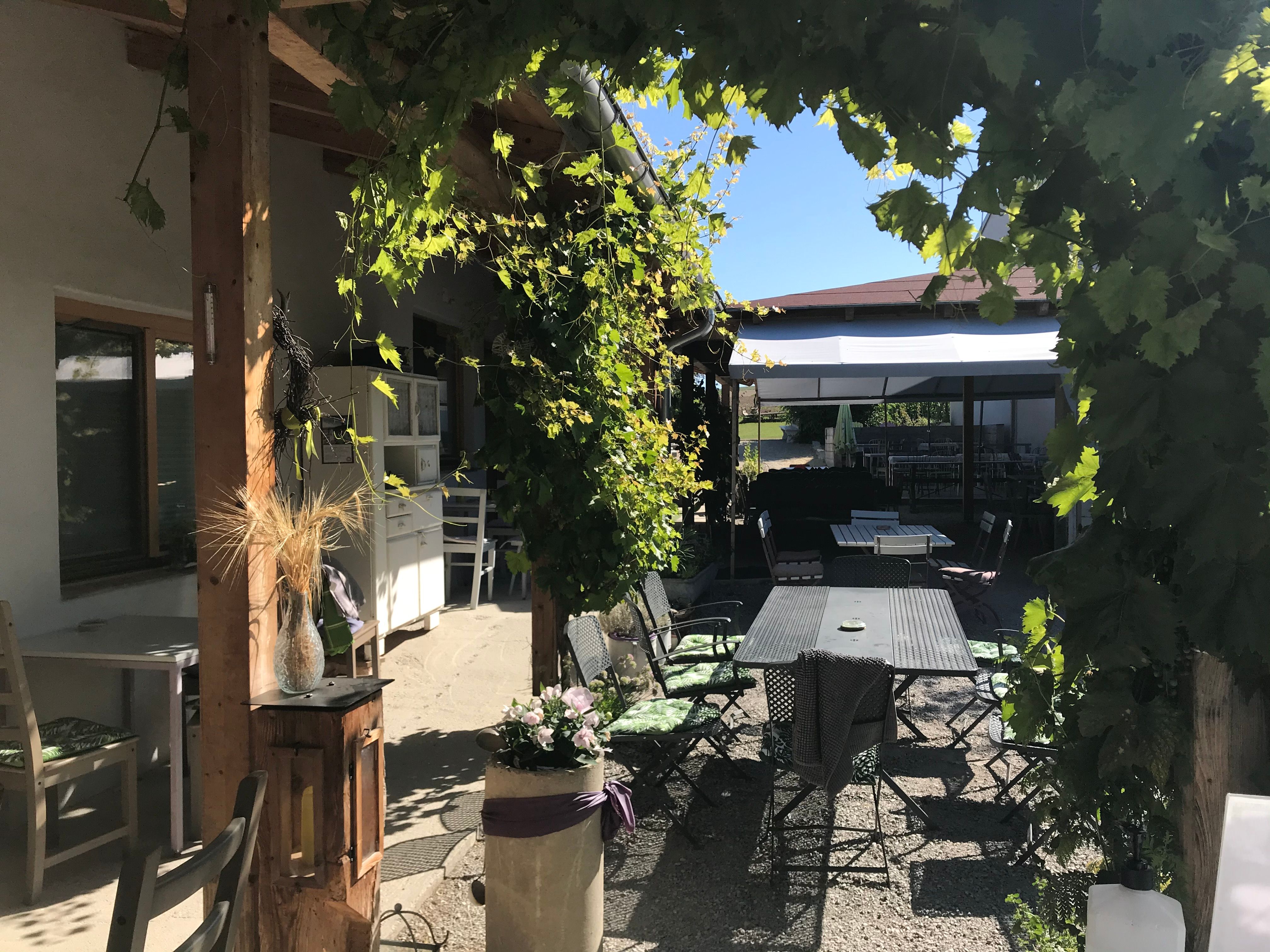 Ein gemütlicher Gastgarten mit Tischen und Stühlen, umgeben von grünen Weinreben und Sonnenschein.