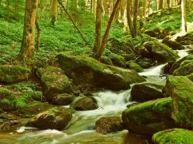Die romantische Steinbachklamm bei Marbach im Nibelungengau, &copy; Donau N&Ouml; Tourismus/Klaus Engelmayer