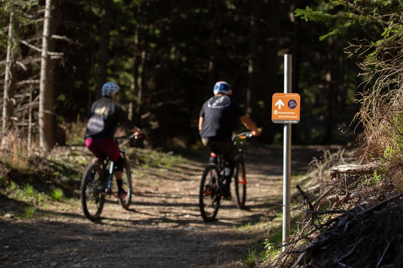 Herrgottschnitzer Hütte Route #20